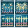L'effet du décanoate de nandrolone sur la coordination neuromusculaire