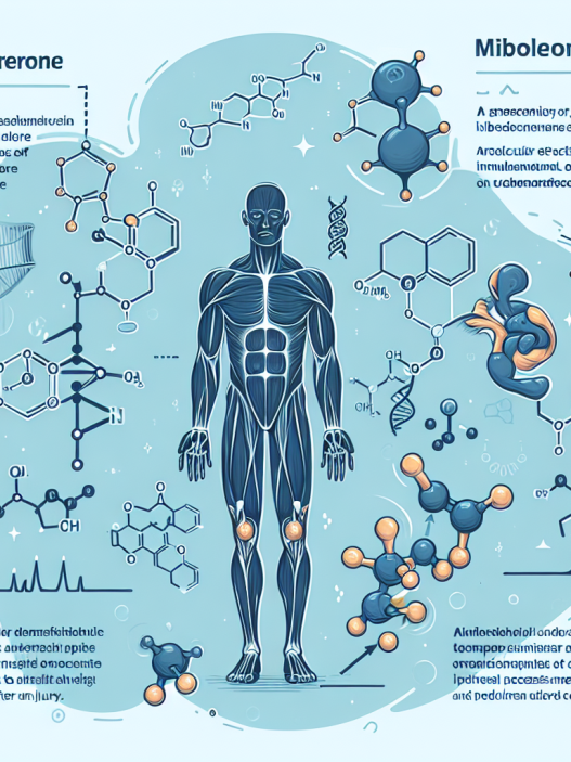 Effet de Mibolerone sur la récupération après une blessure